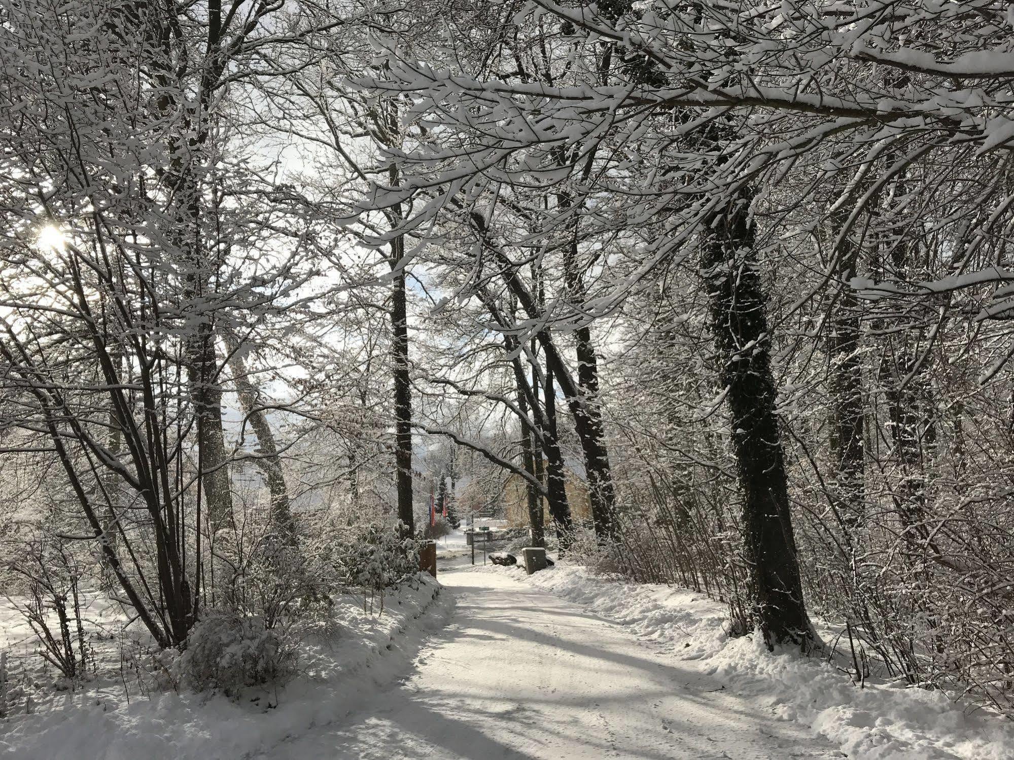 Turmvilla Bad Muskau Esterno foto